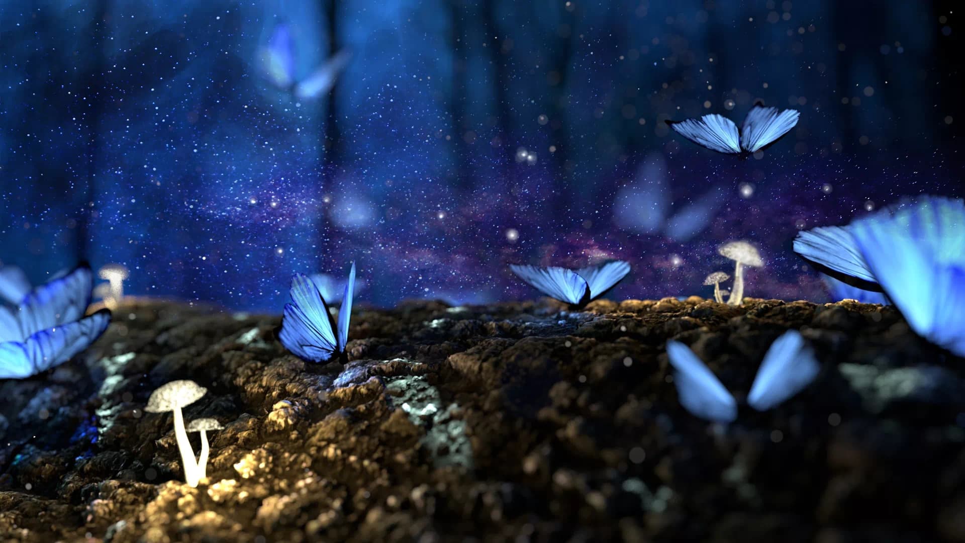 Fond cosmique Bodymension